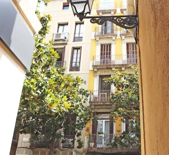 Gràcia Affittacamere