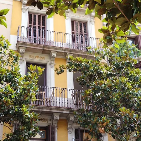 Gracia Guest house